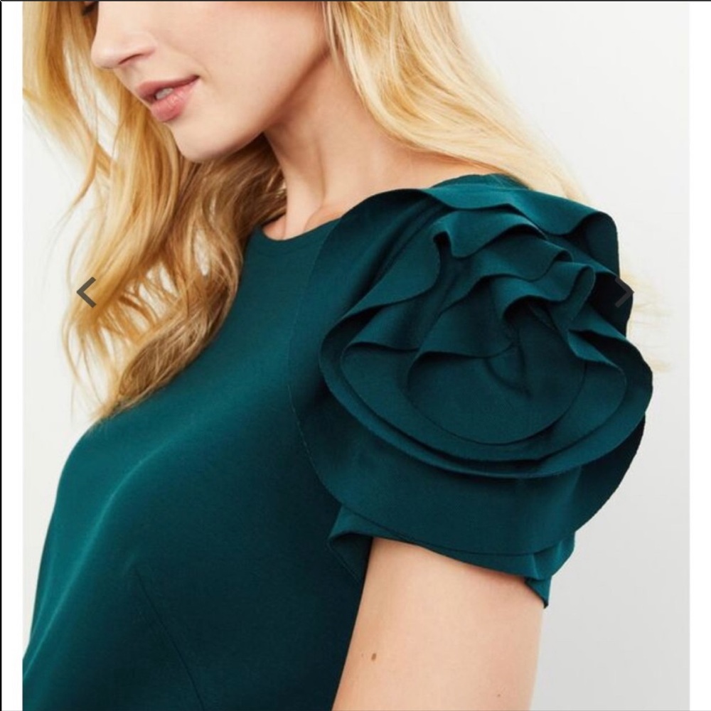 Designer maternity dress